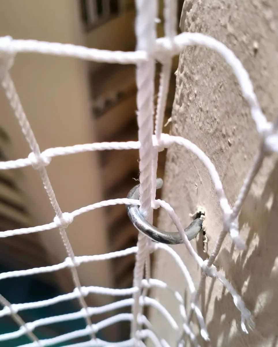 Balcony Bird Protection