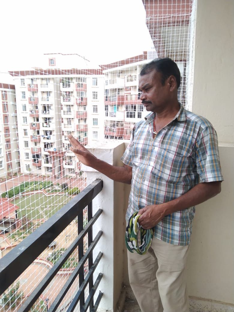 Restaurant Bird Nets