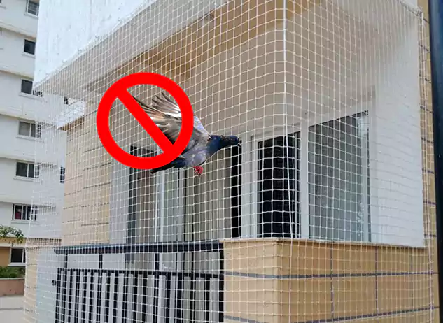 Bird Protection Net